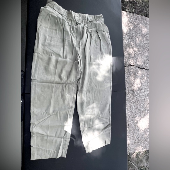 Dudley Woman pants, light sage green, size 18, gently used, inseam 28” - Picture 4 of 5